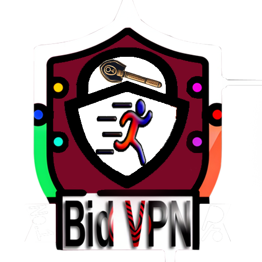 Bid VPN